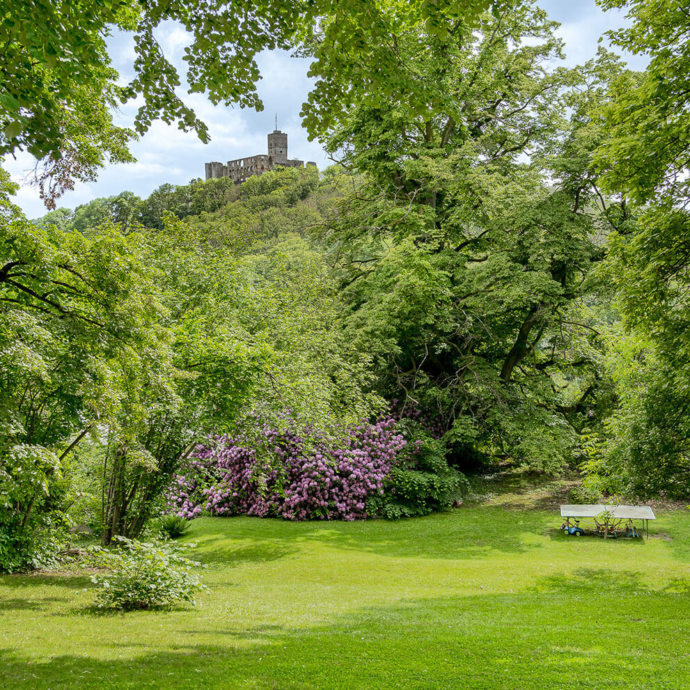 Blick auf Burg von Königstein im Taunus, Grundstück zum Verkauf durch Eberhard Horn Real Estate